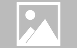 陕西株洲网站建设案例（网站建设实例）